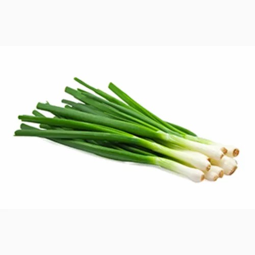 GREEN ONION BUNCH 1 BUNCH