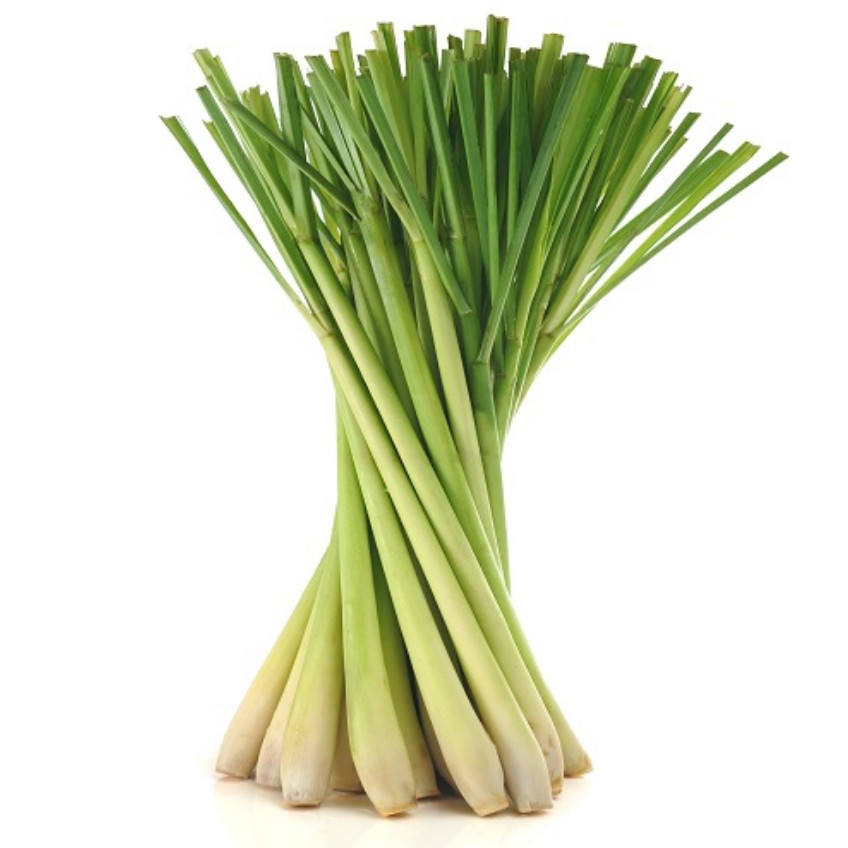 LEMONGRASS  1 LBS