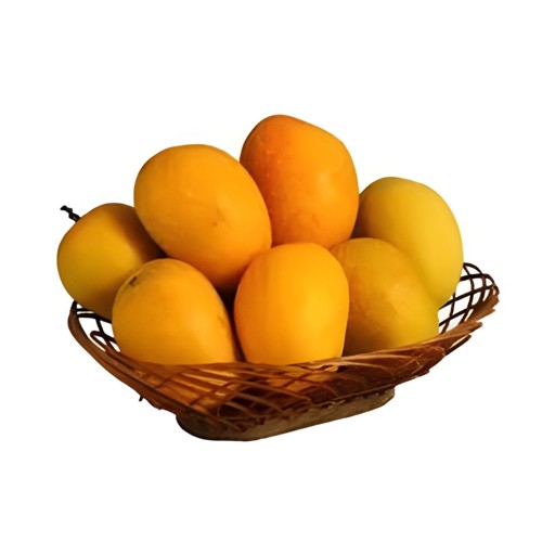KENT MANGO 1 PACK
