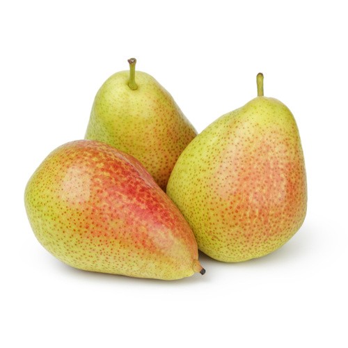Kantola 1 LBS