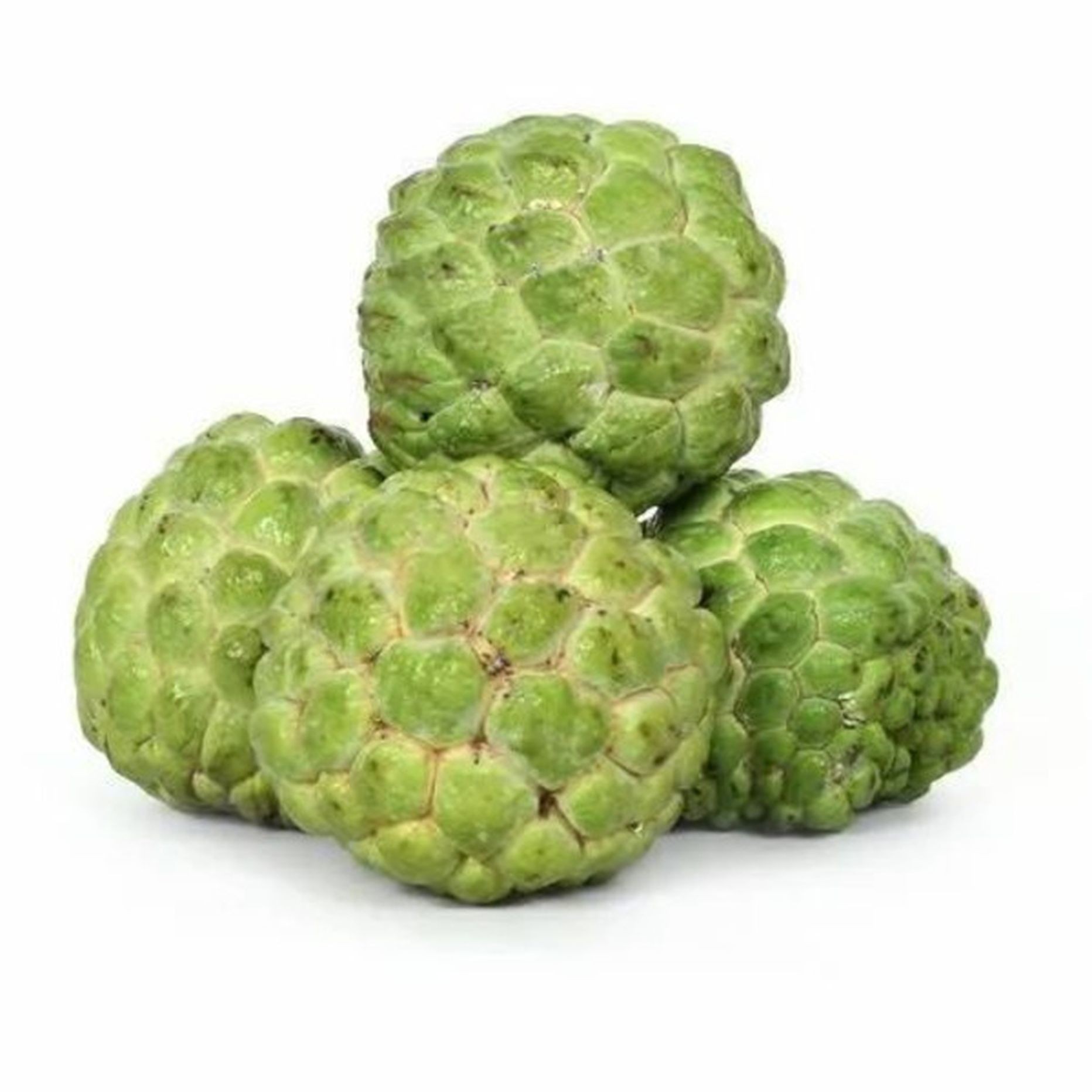 Sitafal 1 LBS