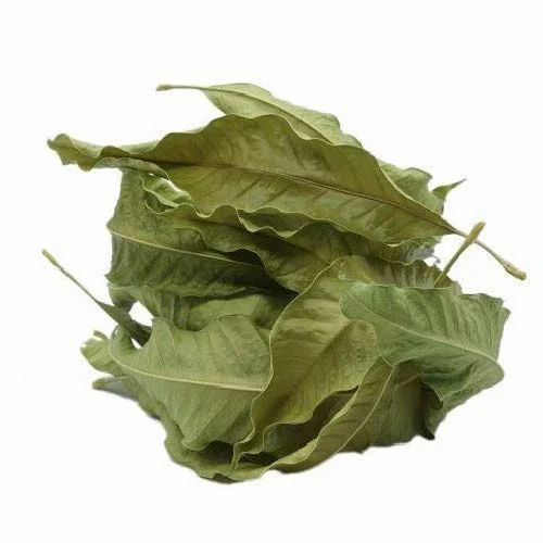 AAMBA(MANGO) LEAVES  1 LBS