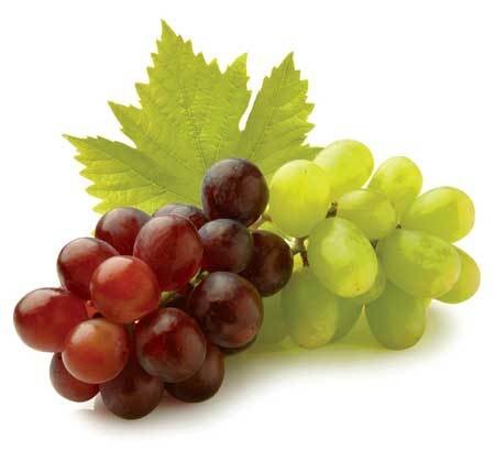 GREEN/RED GRAPES 1 LBS