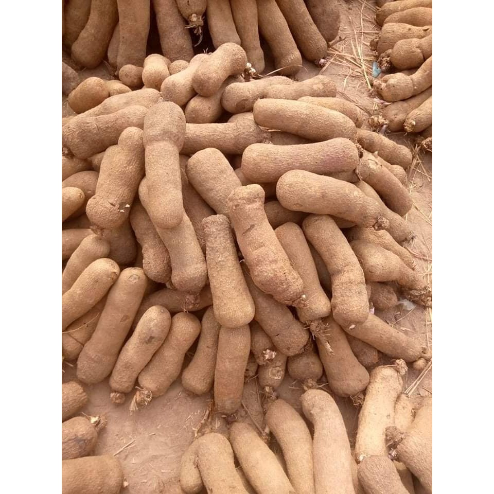 WHITE YAM 1 LBS
