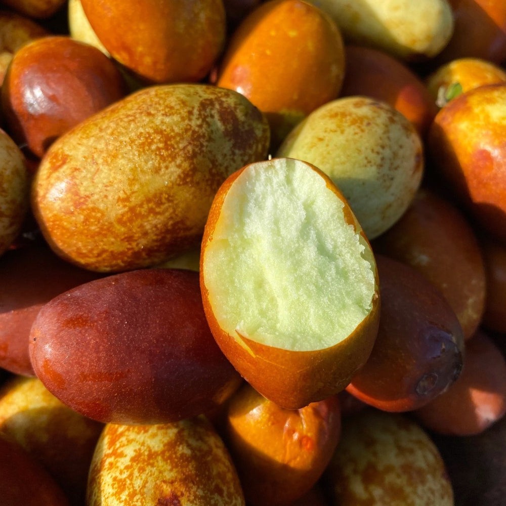 Honey Long Jujube 1 LBS