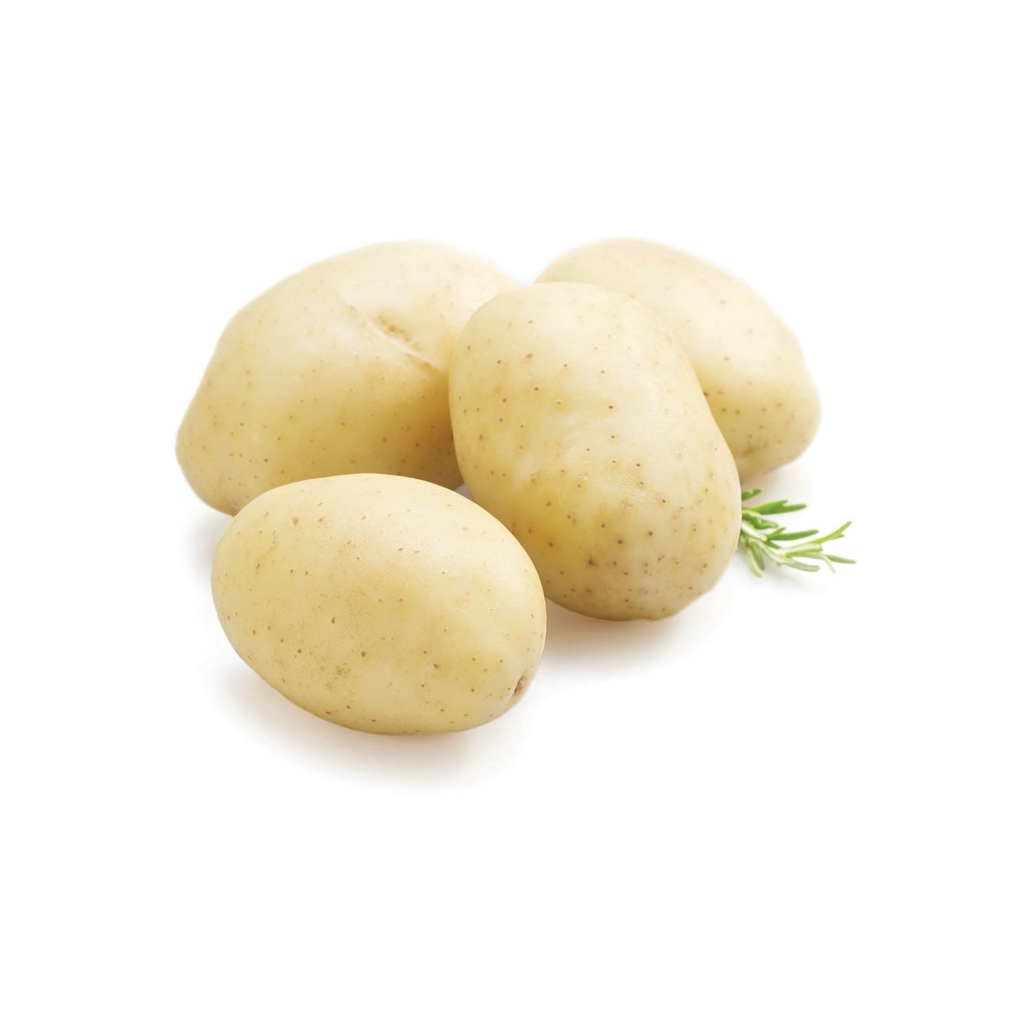 WHITE POTATO 5 LBS