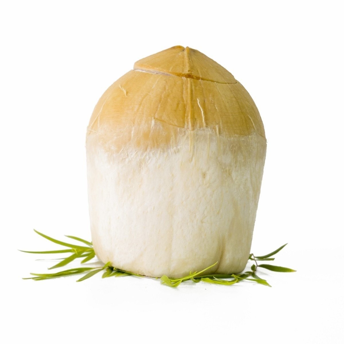 THAI COCONUT 1 EACH