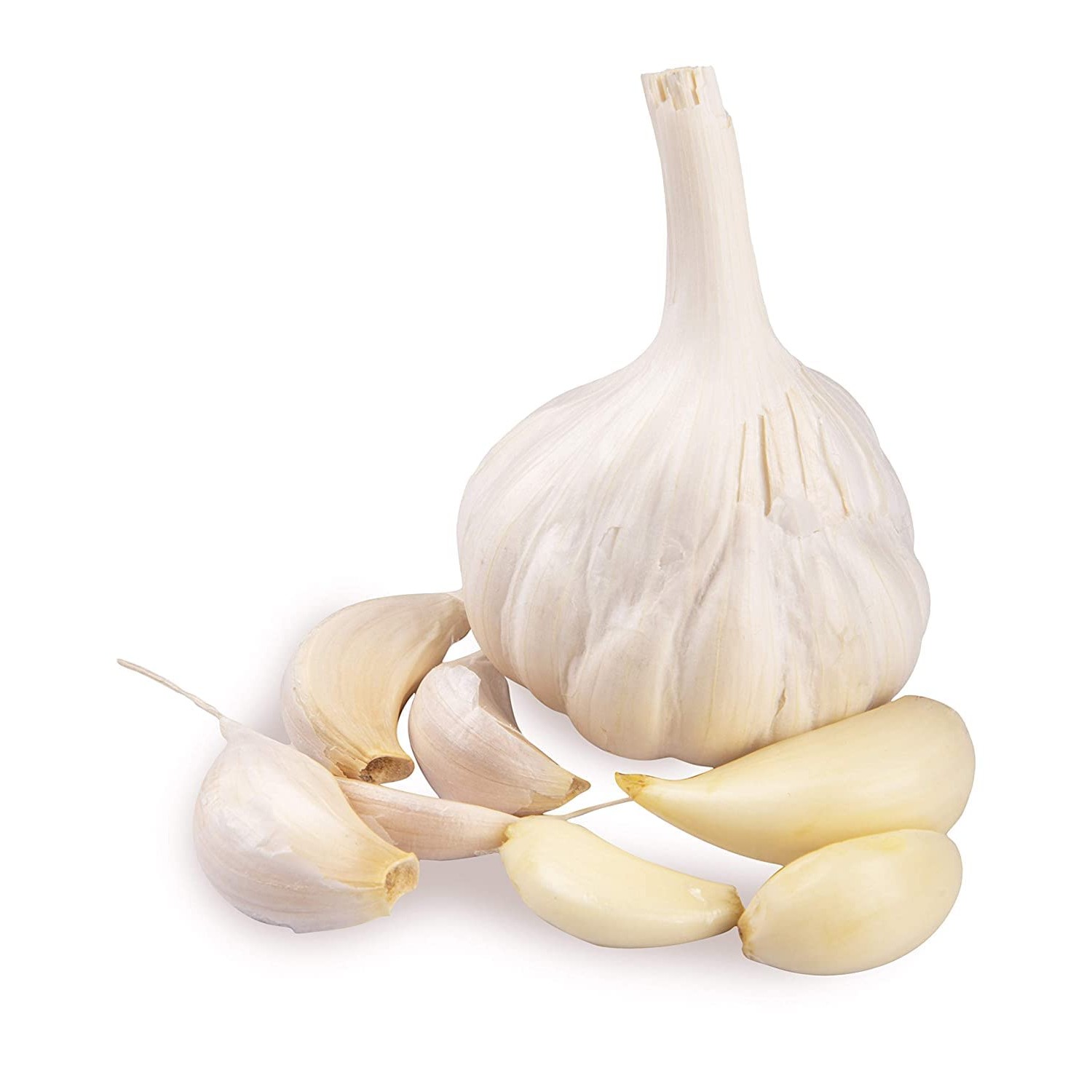 Garlic 1 EACH