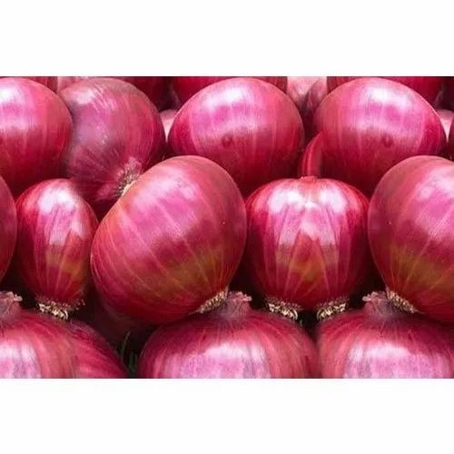 ONION SHALLOT BAG 4 LBS