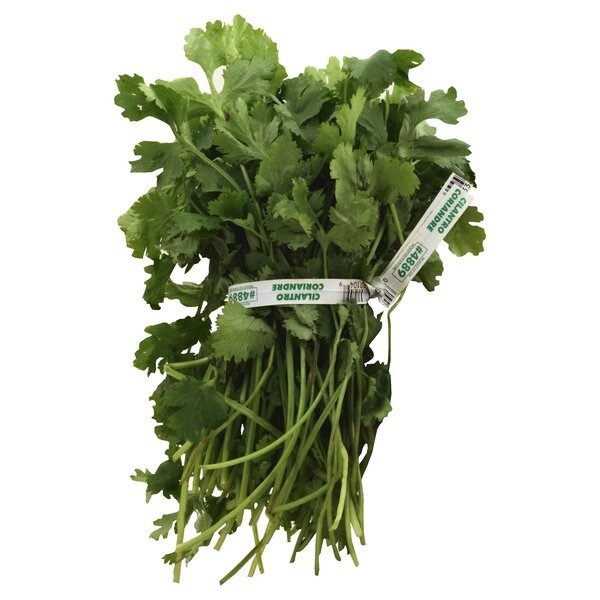 Cilantro (Dhaniya) 2 BUNCH
