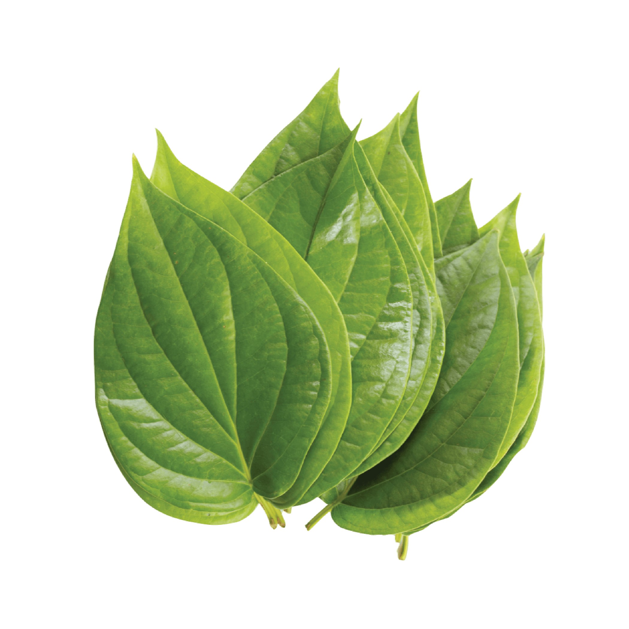 PAN LEAVES 4 PCS