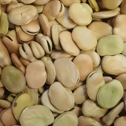 SULTAN BROAD BEANS 16 OZ