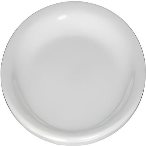 MILTON PLAIN ROUND PLATE 1 Each