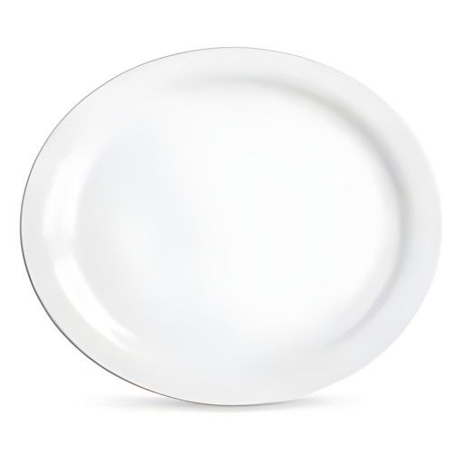MILTON PLATES 5 50 PCS