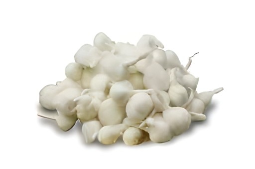 Classic Round Vati 100 PCS