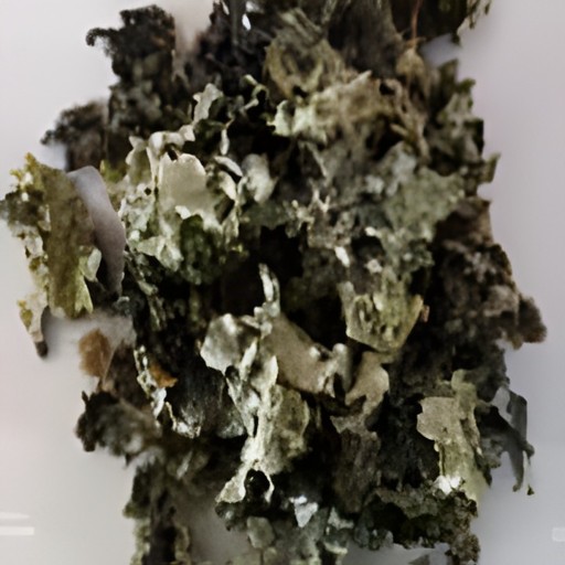 D T Dagad Phool 200 GM