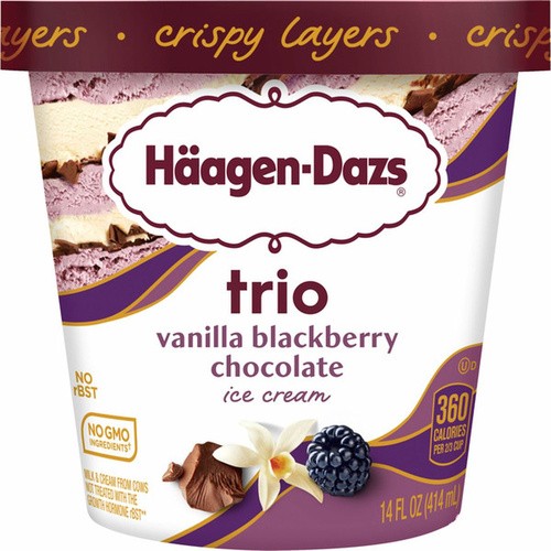 H.D VANILLA/BLACKBERRY 14 OZ