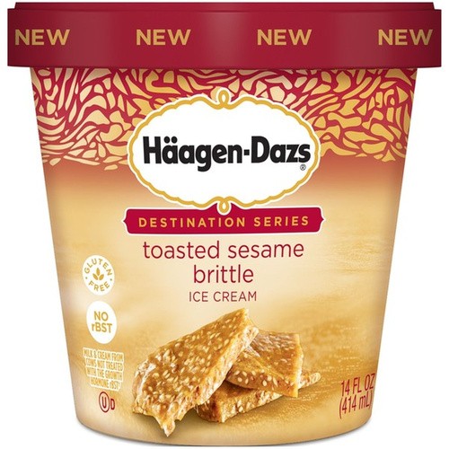 HAAGEN DASZ TOASTED BRITTLE 14 OZ