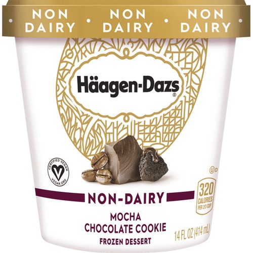 HAAGEN DAZSNON DAIRY MOCHA CHC COOKIES 14 OZ