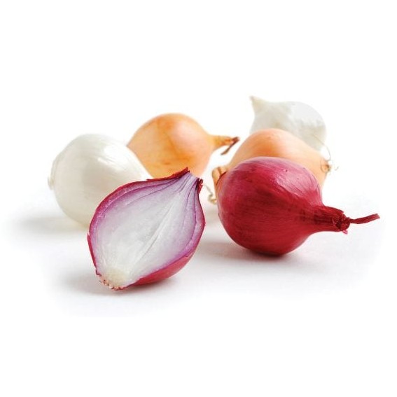 PEARL ONION RED/WHITE BAG 10OZ 1 LBS