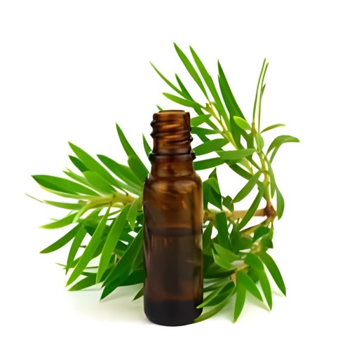 NATURAL PURE FOOD TEA TREE OIL 60 ML