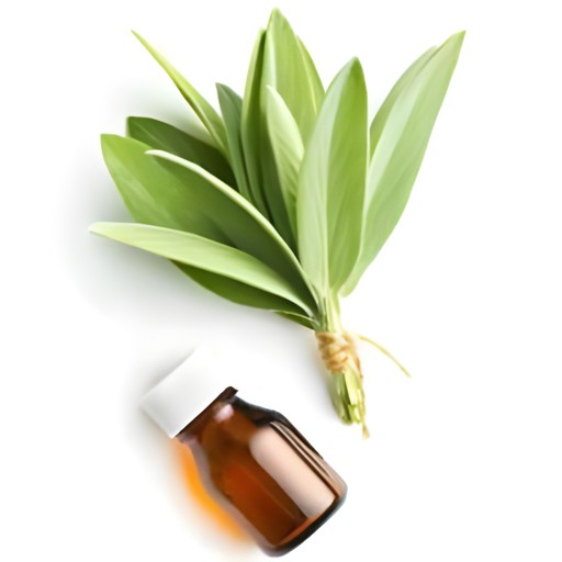 ALL NATURAL SAGE OIL 60 ML
