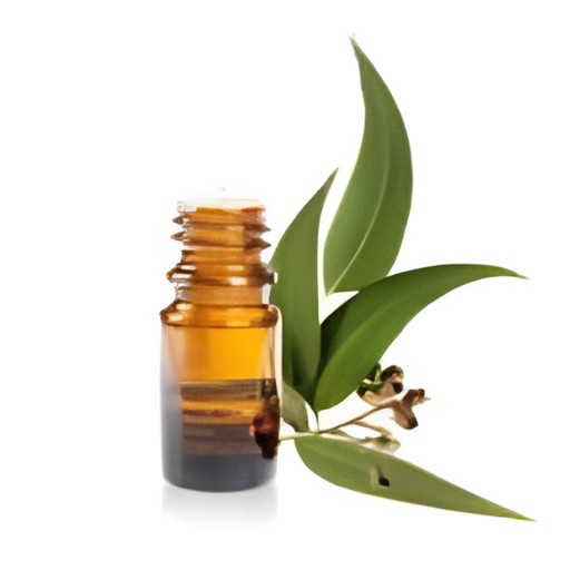 NATURAL PURE FOOD EUCALYPTUS OIL 60 ML