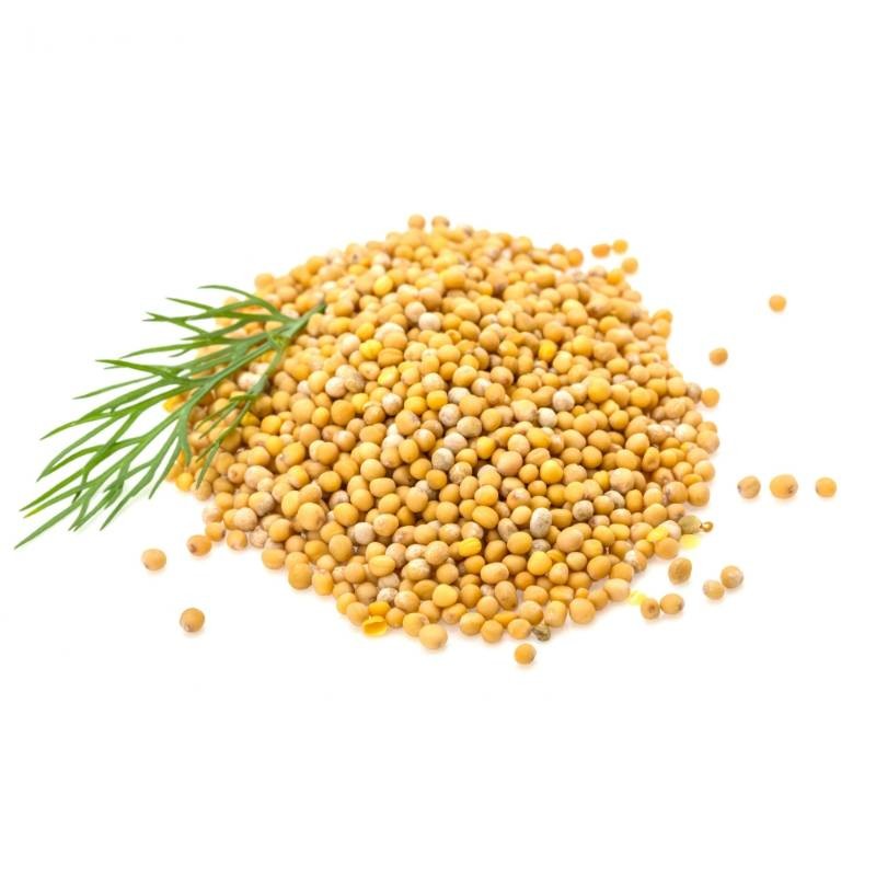 Lazzat Yellow Mustard 14 OZ