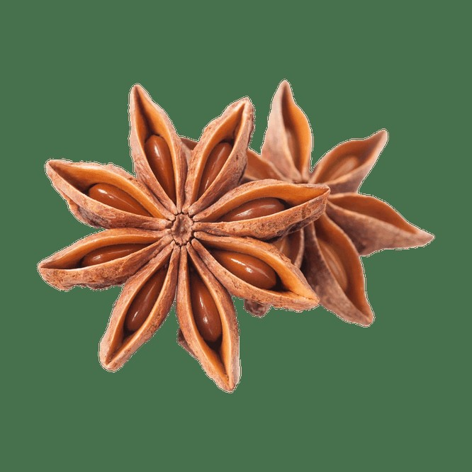 Star Aniseed 100 GM