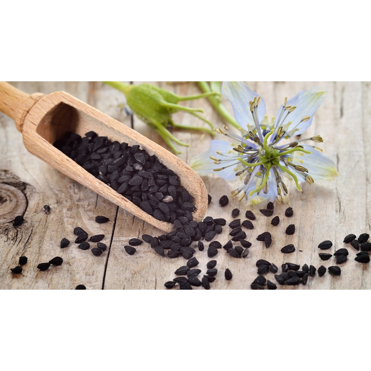 VT Calonji Seeds 100 GM