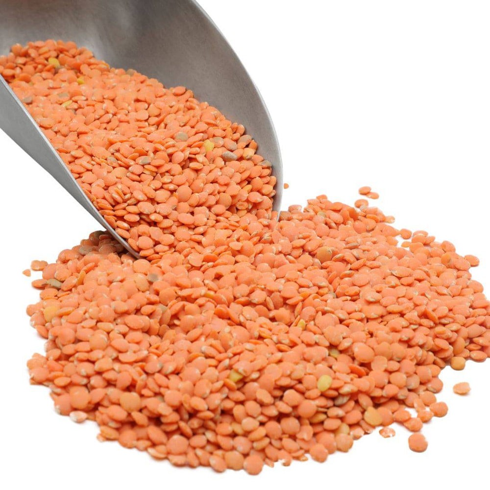 Golchin Red Lentils Split 24 OZ