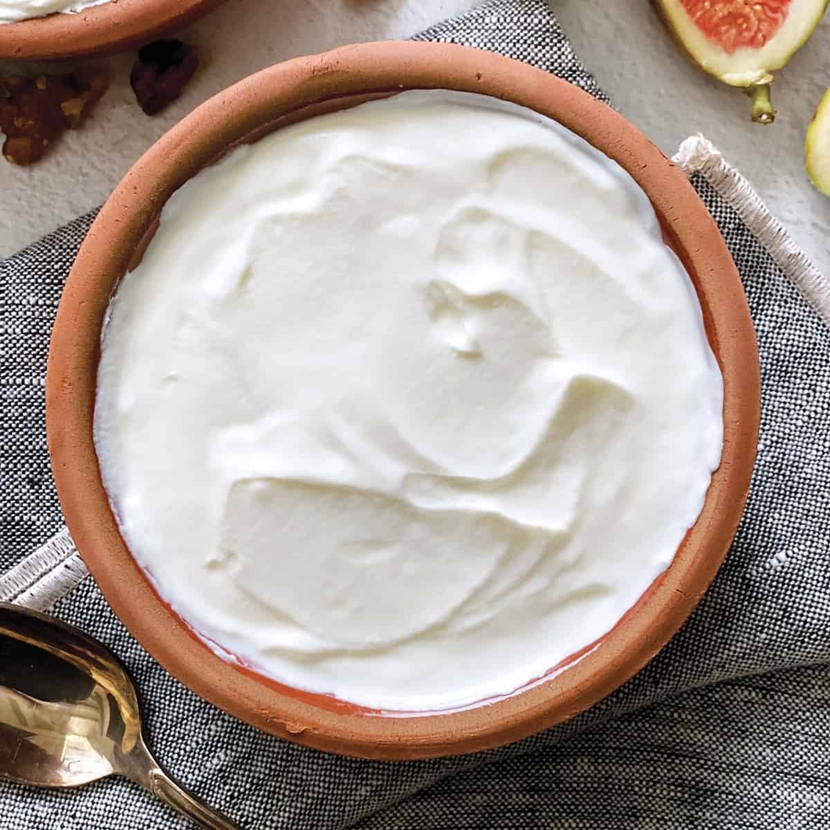 Plain Yogurt 1 PACK
