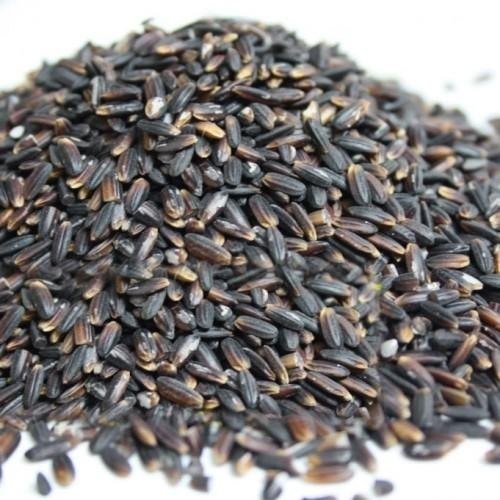 ANNAM BLACK KAVUNI RICE