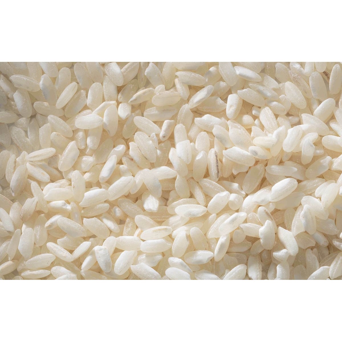 SWEET RICE 32 LBS