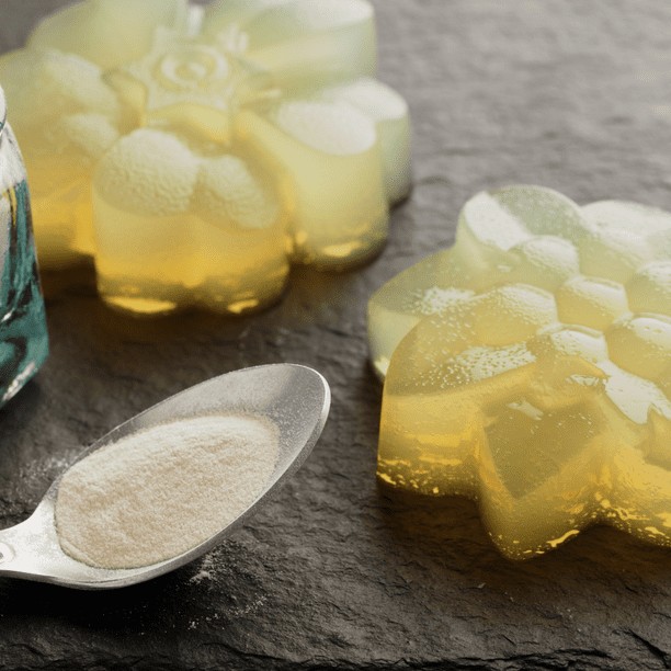 Agar Agar Powder 170 GM