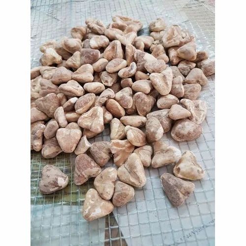 FRESH SINGODA BAG 1 BAG