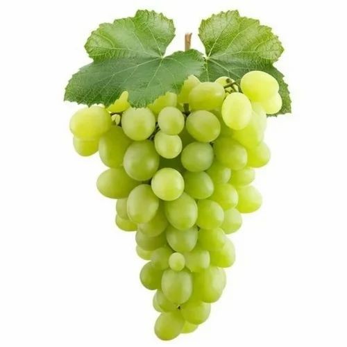 BABY GREEN GRAPE 1 LBS