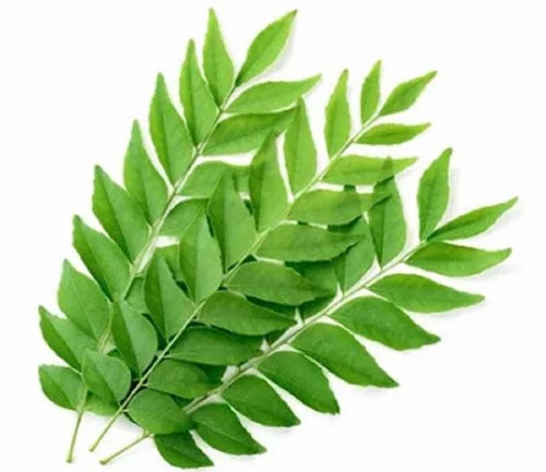 CURRY LEAVES  2 OZ