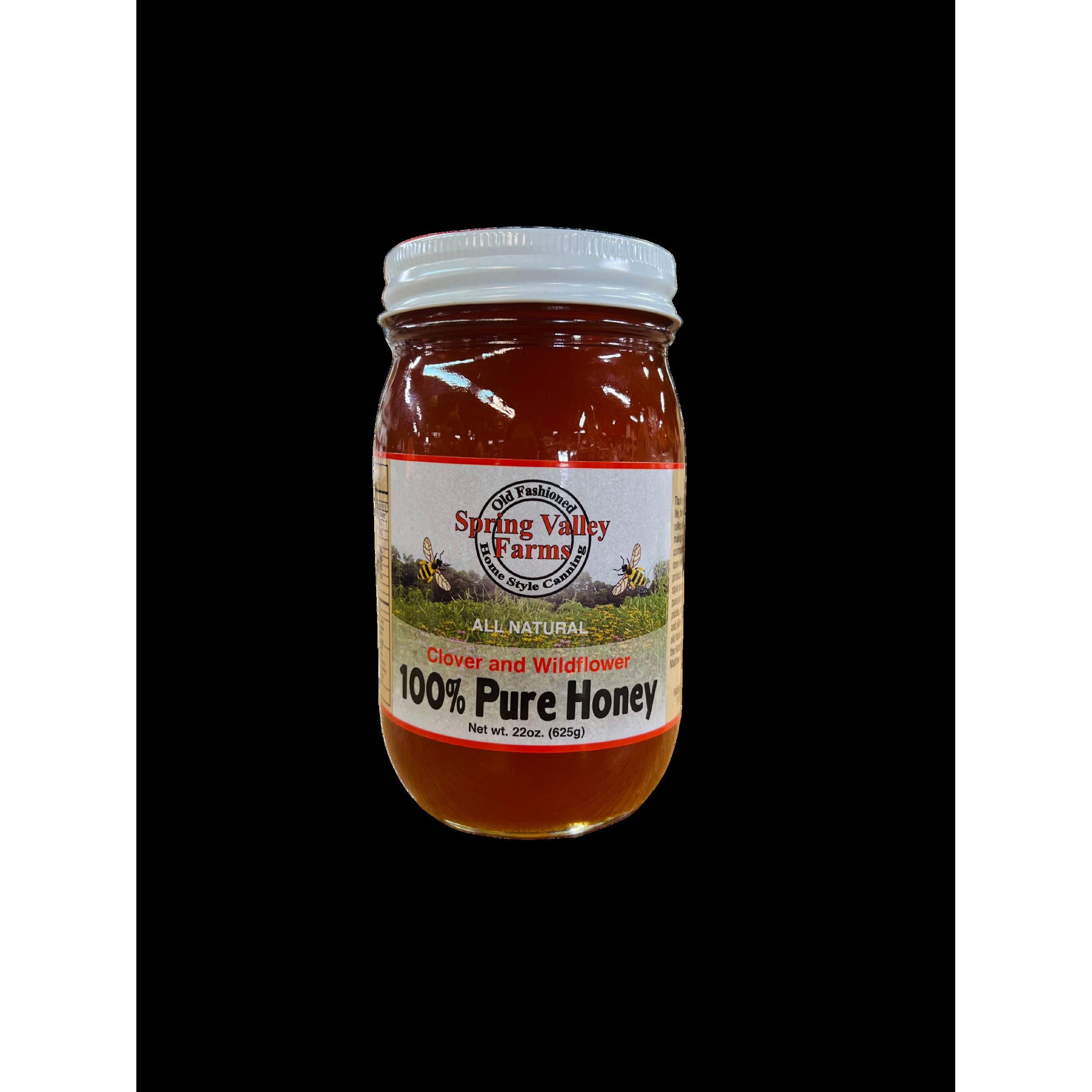 Pure Honey 22 Oz