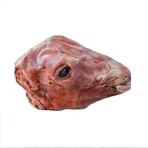GOAT HEAD 2 LBS