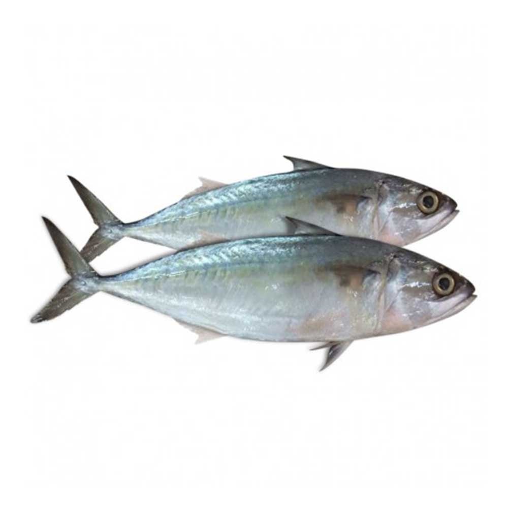 MACKEREL WHOLE FROZEN 1 PACK