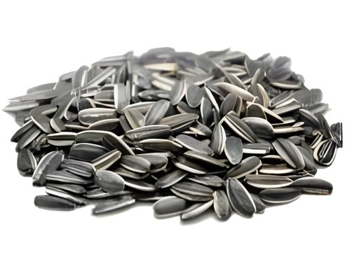 Sunflower Seed 7 OZ