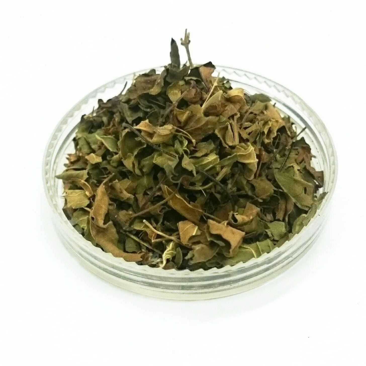 Raghav Dry Tulsi Leaves 50 GM
