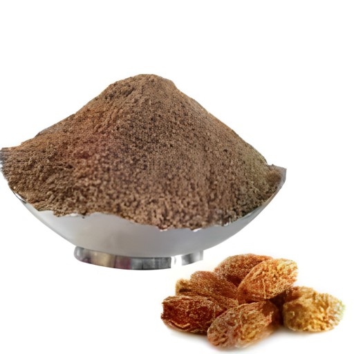 DRY Dates Powder 200 GM