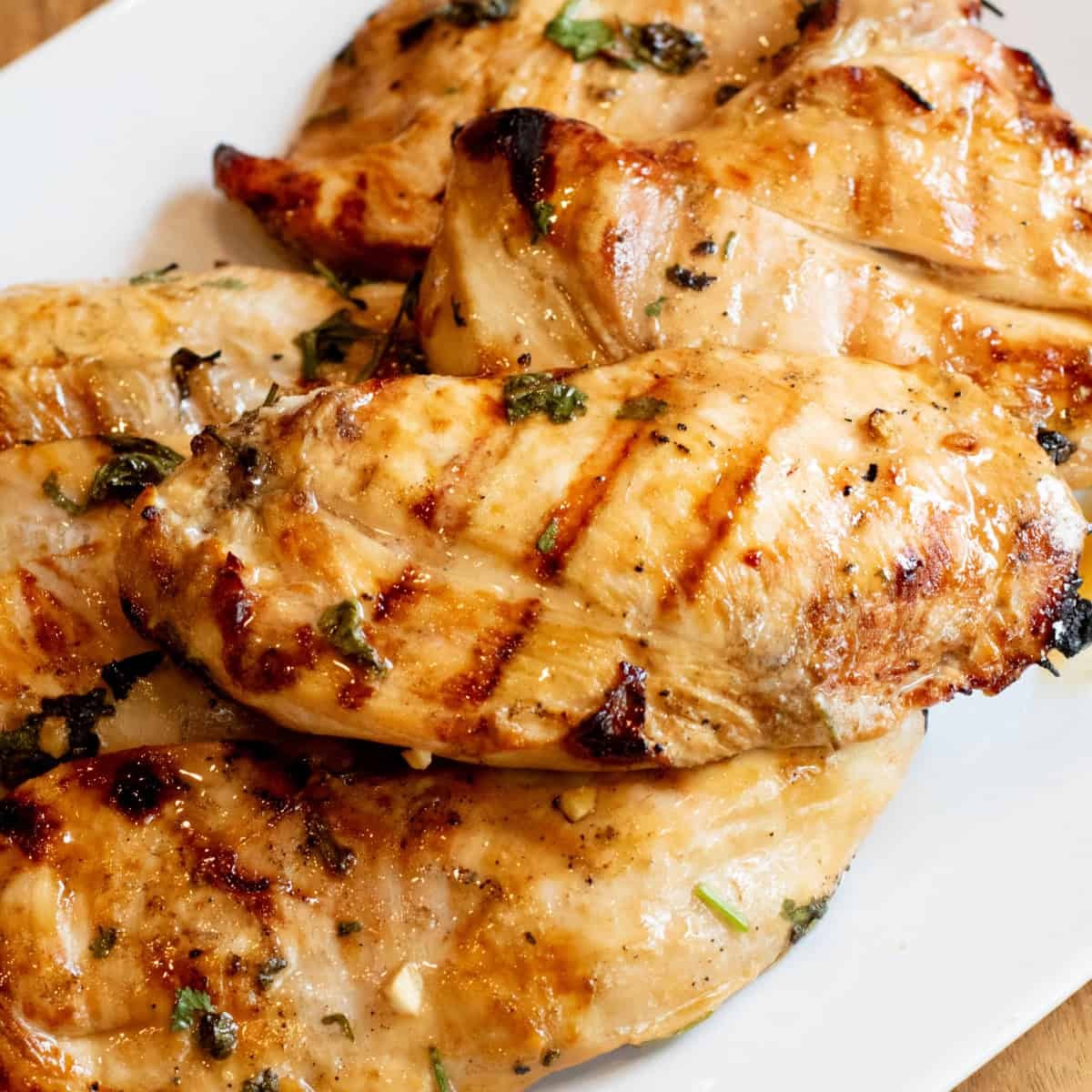 CHK BREAST/ PANEER MARINATED 1 LBS