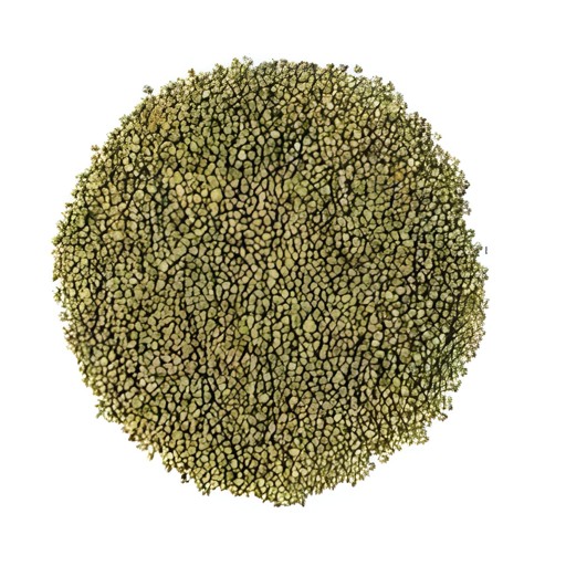 PEARL MILLET 210 GM
