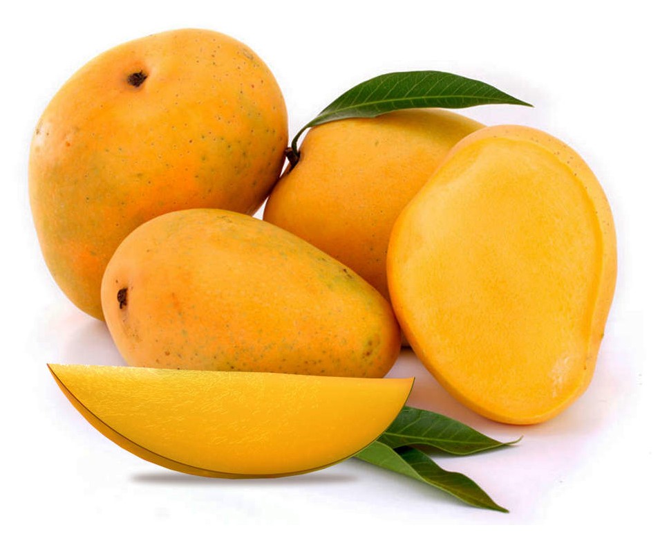 Indian Kesar Mango Case 1 CASE