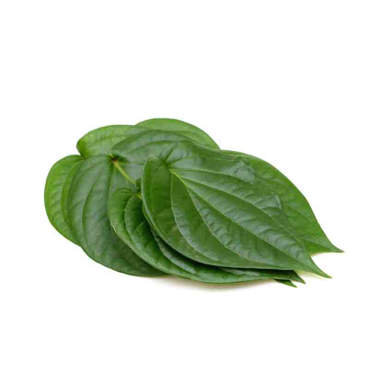 Paan (Betel Leaves) 1 BUNCH