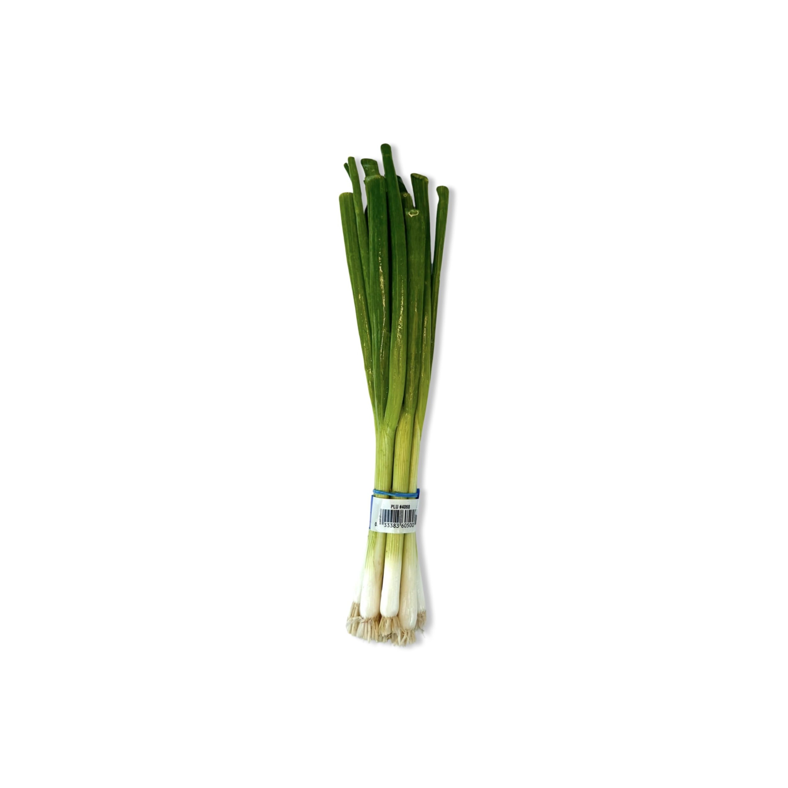 Spring Onion 1 Bunch