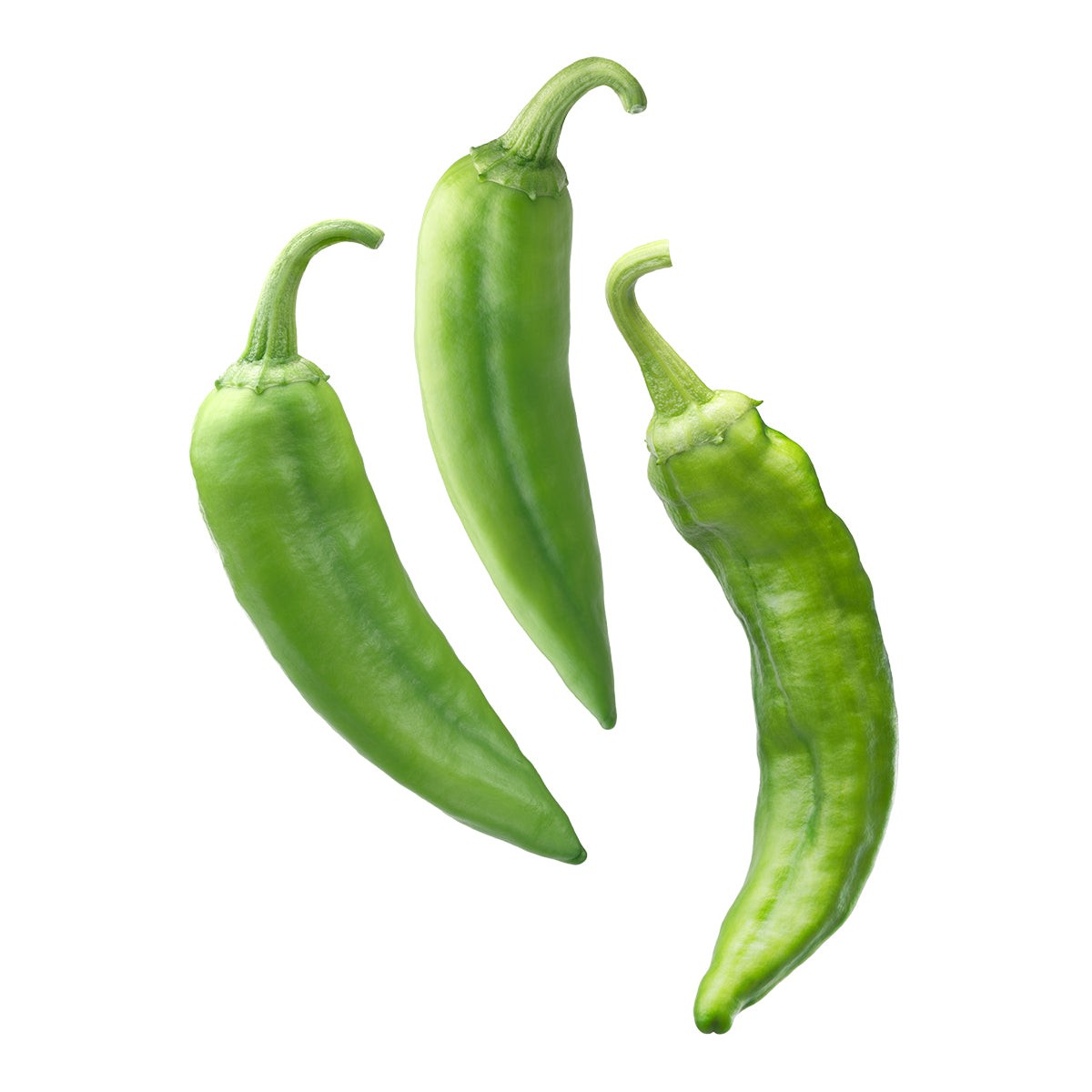 Green Chilli Medium 1 LBS